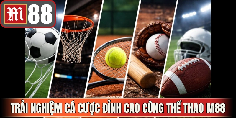 Trải nghiệm cá cược đỉnh cao cùng thể thao M88 mỗi ngày